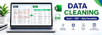 do professional data cleaning, and excel data cleanup