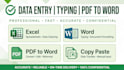 do data entry, typing work, pdf to word and excel data entry