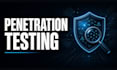 do penetration testing and vulnerability assessment of your website