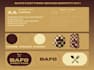 design a professional brand kit