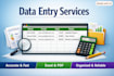 provide accurate and efficient data entry services