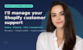 audit your online store customer support