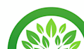 design modern tree logo