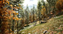 design 3d game environment, level design and open world maps in unity and ue5