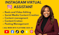 do instagram virtual assistant social media ads ai  video creation editing VA