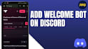 setup vinted scalping bot and vinted automated tools