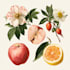 do a botanical illustration
