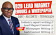 write b2b lead magnet ebook, saas whitepapers, case study and business content