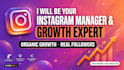 do organic instagram growth and promotion