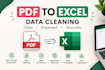 convert PDF to excel and clean data