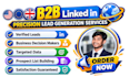 do b2b lead generation, linkedin targeted business leads and email list building
