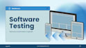 do professional manual and automation software testing