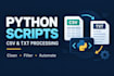 write python scripts to automate tasks and process files