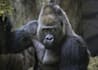 create a personalize uganda travel itinerary, trip plan 4 u
