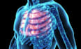 create a professional 3d medical animation and anatomy video