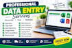do accurate data entry, copy paste, web research and excel data entry