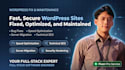 fix, maintain, and speed optimize your wordpress website