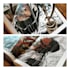draw your comic manga page, manga comic art