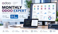be your dedicated monthly odoo consultant and developer
