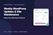 update and maintain your wordpress website regularly