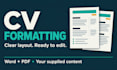 format your CV or resume into editable word and PDF