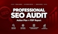 do a professional SEO audit and action plan