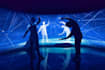 create real time body projection mapping and 3d mapping animation videos