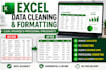 clean, organise, format and analyse your excel data