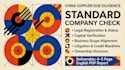 chinese company background report