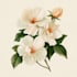do a botanical illustration