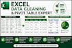 do excel data cleaning, excel data processing, data analysis