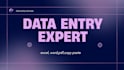 do professional data entry and excel data cleaning