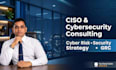 provide a professional cybersecurity assessment