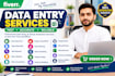 provides data entry services
