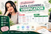 do data entry, excel spreadsheet virtual assistant