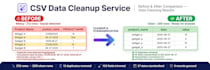 clean, dedupe and standardize your CSV file in 24 hours