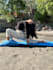 teach online yoga classes for beginners