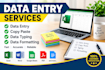 do data entry and copy paste tasks