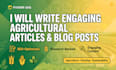 write contents,blog posts and SEO contents