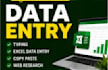 do do professional data entry excel data entry