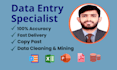 do excel data entry and web research