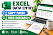 do excel data entry, data cleaning and basic data analysis
