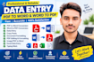 do data entry, PDF to word and word to PDF conversion