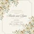create elegant cards and invitations