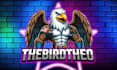 design animated twitch stream overlay, kick logo, panels, alerts emotes banner