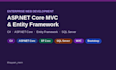 build a professional asp net core mvc web application