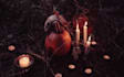 break and remove curses, spell, witchcraft, hexes, negative entities removal
