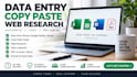 do accurate data entre, copy paste and web reserch