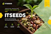 design pre seed and seed pitch deck b2b lead generation vc grade presentations