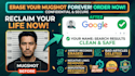 remove mugshots, delete negative links, erase bad articles, false news in google